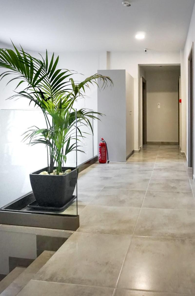 Pallada Athens Boutique Rooms & Apartments エクステリア 写真